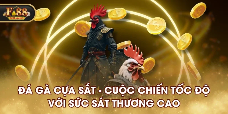 đá gà cựa sắt fo88