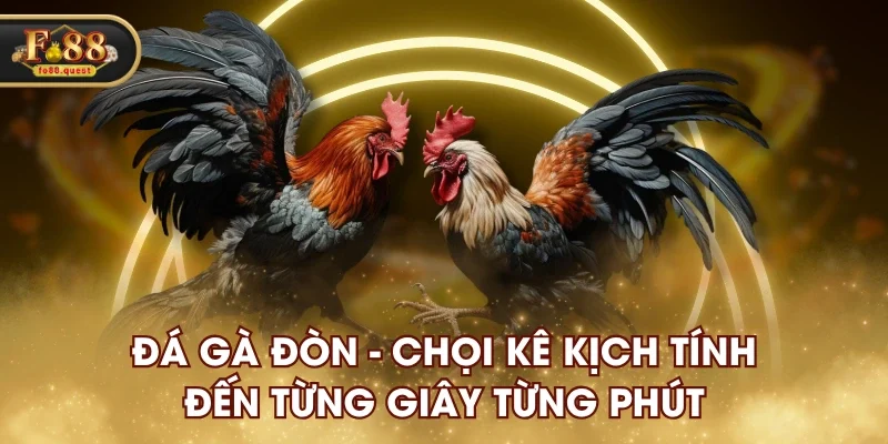 Đá Gà Đòn Fo88