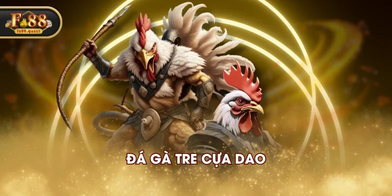 Đá gà tre cựa dao Đá gà tre cựa dao