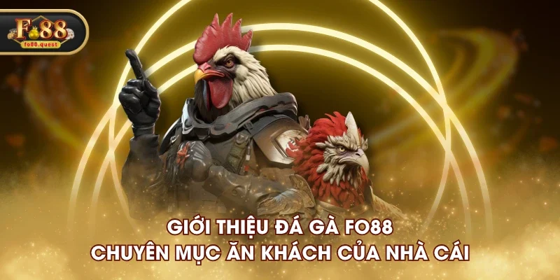 Giới thiệu Đá Gà FO88 - Chuyên mục ăn khách của nhà cái Giới thiệu Đá Gà FO88 - Chuyên mục ăn khách của nhà cái