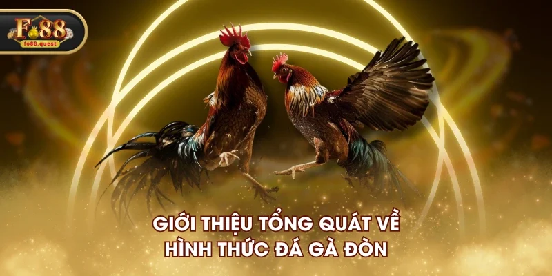 Giới thiệu tổng quát về hình thức đá gà đòn Giới thiệu tổng quát về hình thức đá gà đòn