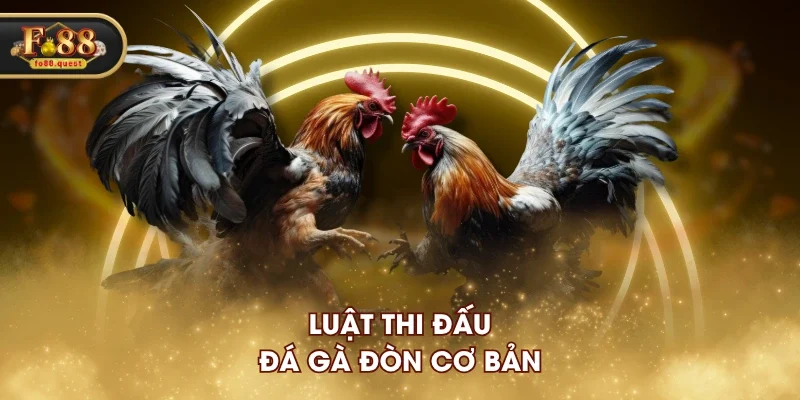 Luật thi đấu đá gà đòn cơ bản Luật thi đấu đá gà đòn cơ bản